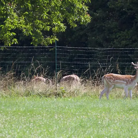 Feriehus Domaine Des Marais Saint-Sornin (Charente-Maritime)
