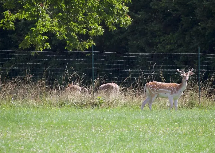 Сasa de vacaciones Domaine Des Marais Saint-Sornin (Charente-Maritime)